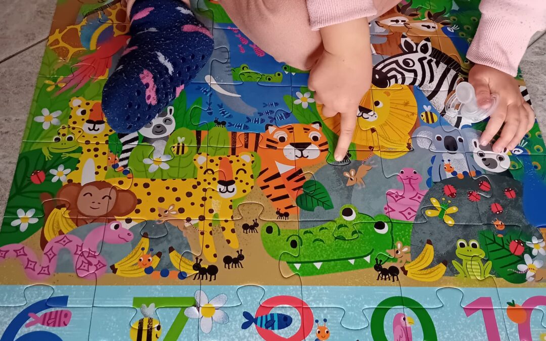 COME SI CAPISCE SE UN PUZZLE E’ APPREZZATO?