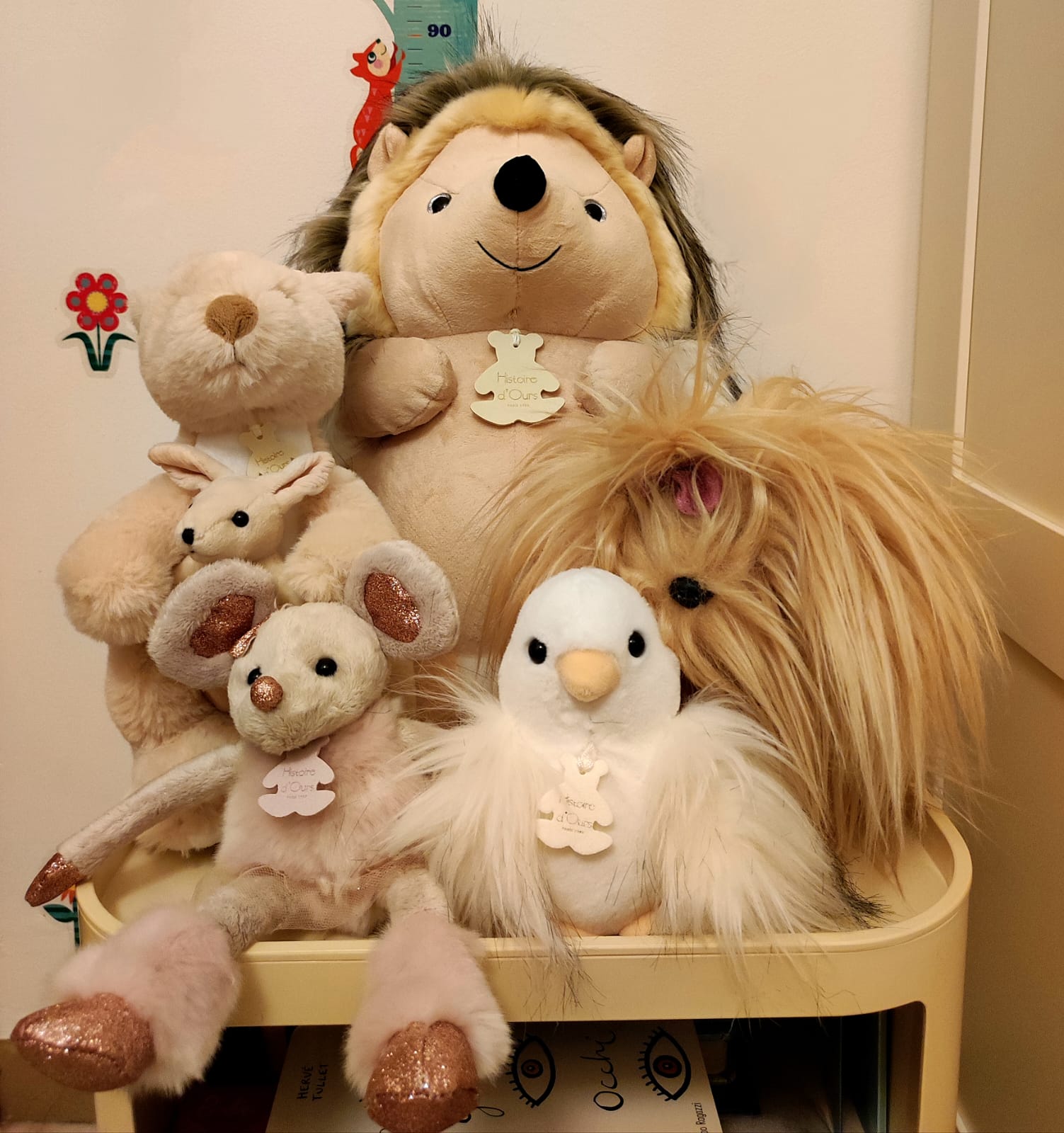 FOTO DI GRUPPO DI ALCUNI DEI PELUCHES DI LEA